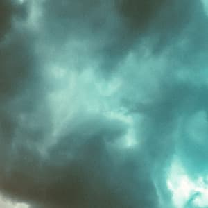 1 Coastal Night: Among The Earth - Baltic Nature Sounds