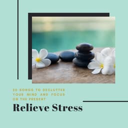 Relieve Stress - 20 Songs to Declutter Your Mind and Focus on the Present - Calm Music Ensemble
