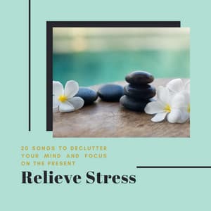 Relieve Stress - 20 Songs to Declutter Your Mind and Focus on the Present - Calm Music Ensemble
