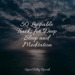 50 Loopable Tracks for Deep Sleep and Meditation - Sol y Lluvia