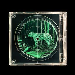 Panther's Step - Chill Out Town