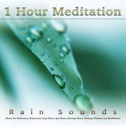 1 Hour Meditation: Music and Rain Sounds For Meditation, Relaxation, Yoga Music, Spa Music, Massage Music, Healing, Wellness and Mindfulness - Meditation Playlist