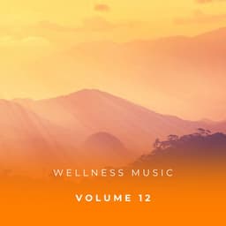 Wellness Music Vol. 12 - Zen Music Garden