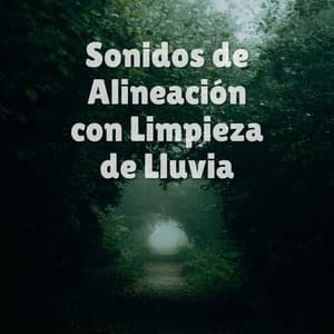 Sonidos De Alineación Con Limpieza De Lluvia - Lluvia Para Dormir Mejor