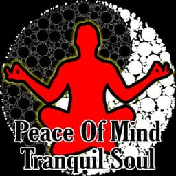 Peace Of Mind Tranquil Soul - Meditation Masters