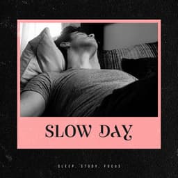 Slow Day - Sleep, Study, Focus