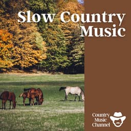 Slow Country Music - Country Music Channel