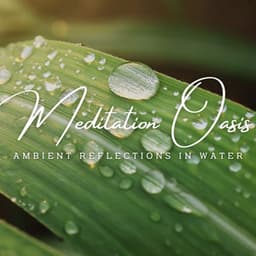 Aquatic Meditation Oasis: Ambient Reflections in Water - Waves Of Time