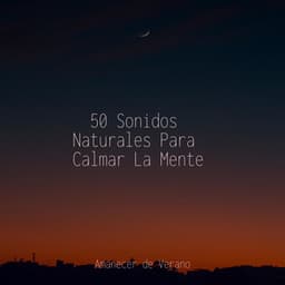 50 Sonidos Naturales Para Calmar La Mente - Baby Lullaby