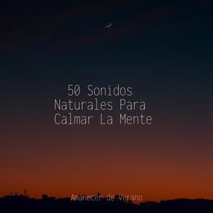 50 Sonidos Naturales Para Calmar La Mente - Baby Lullaby