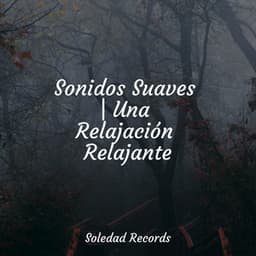 Sonidos Suaves | Una Relajación Relajante - Meditación Guiada