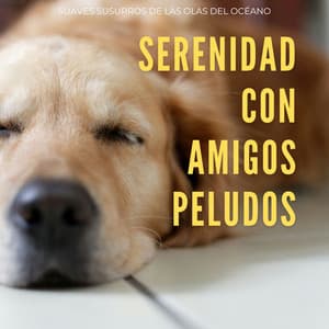 Serenidad Con Amigos Peludos: Suaves Susurros De Las Olas Del Océano - Ruidos de la Naturaleza