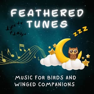 Feathered Tunes - Music for Birds and Winged Companions - Jaded Birds