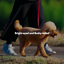 Bright-eyed and Bushy-tailed - Soft Dinner Music