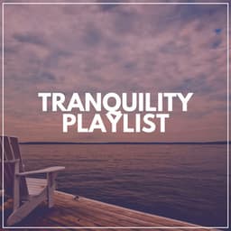 Tranquility Playlist - Japanese Zen Shakuhachi