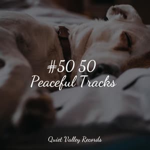 #50 50 Peaceful Tracks - Natural Rain Sounds for Sleeping