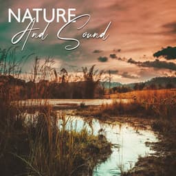 Nature And Sound - The Shivering River