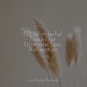 50 Wonderful Tracks for Ultimate Spa Relaxation - Lounge Music Café
