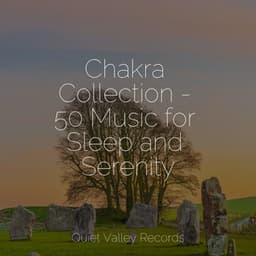 Chakra Collection - 50 Music for Sleep and Serenity - Nature Music Pregnancy Academy