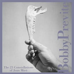 The 23 Constellations Of Joan Miro - Bobby Previte