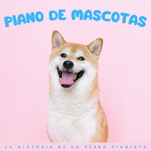 Piano De Mascotas: La Historia De Un Perro Pianista - Música para la ansiedad del perro