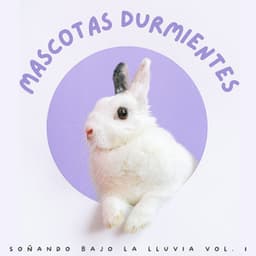 Mascotas Durmientes: Soñando Bajo La Lluvia Vol. 1 - Fábrica de Sonidos de Lluvia STHLM