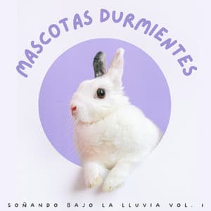 Mascotas Durmientes: Soñando Bajo La Lluvia Vol. 1 - Fábrica de Sonidos de Lluvia STHLM