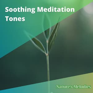 Soothing Meditation Tones to Combat Sleeplessness & Harmonize Sleep Pattern - Nature's Melodies