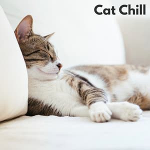 Cat Chill - Relax My Kitten