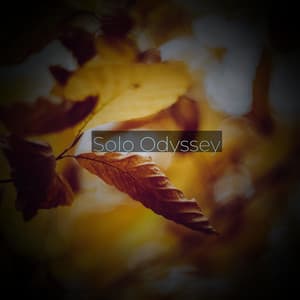 Solo Odyssey - Solis Reverie