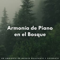 Armonía De Piano En El Bosque: Un Ambiente De Masaje Relajante Y Calmante - PianoPinceOfAnime