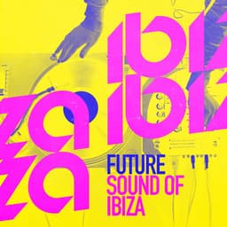 Future Sound of Ibiza - Future Sound Of Ibiza