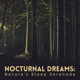 Nocturnal Dreams: Nature's Sleep Serenade - The Nature Project