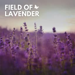 Field of Lavender - Mother Nature Sound FX
