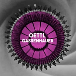 Oettl: Gassenhauer - Wolfgang Oettl