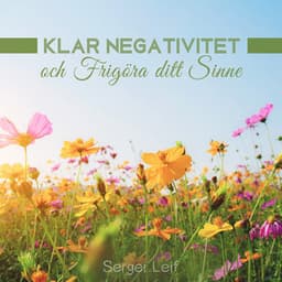Klar Negativitet och Frigöra ditt Sinne - Sergei Leif