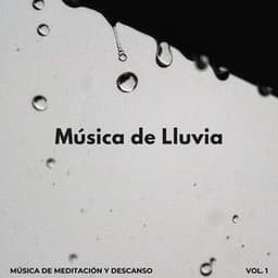 Música De Lluvia: Música De Meditación Y Descanso Vol. 1 - La Lluvia Suena Expertos en Naturaleza
