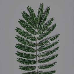 Spring Peaceful Melodies | Complete Serenity - Meditation Awareness