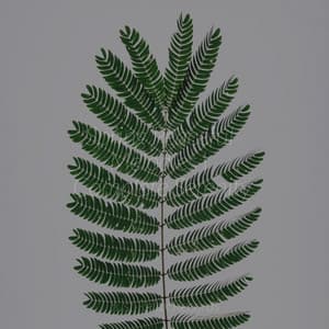 Spring Peaceful Melodies | Complete Serenity - Meditation Awareness