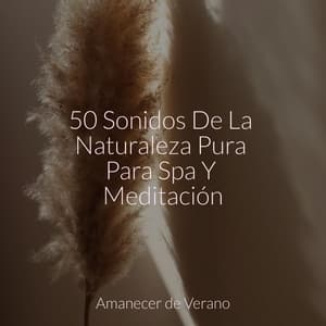 50 Sonidos De La Naturaleza Pura Para Spa Y Meditación - Calming Sounds