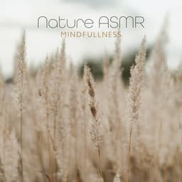 Nature ASMR: Mindfullness - Ayurveda