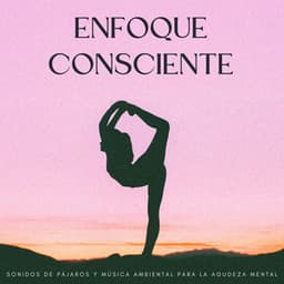 Enfoque Consciente: Sonidos De Pájaros Y Música Ambiental Para La Agudeza Mental - Pájaros en la televisión