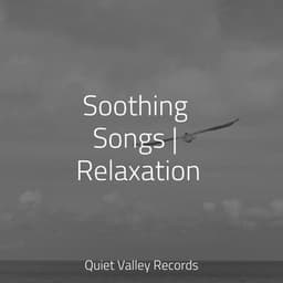 Soothing Songs | Relaxation - Nature Sounds for Concentration