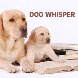 Dog Whisper: Relaxation Music and Calming Music for Dog, Whisperer in Wildlife - Neuromancer