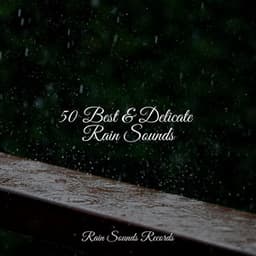 50 Best & Delicate Rain Sounds - Cascada de Lluvia