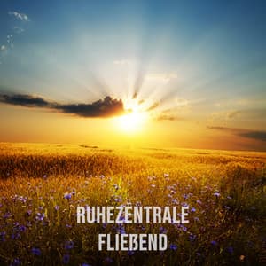 Fließend - Ruhezentrale