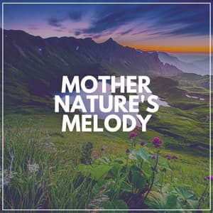 Mother Nature's Melody - Nature Calm