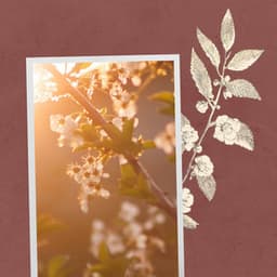 Feelings for Meditative Days - Modern Jazz Fusion