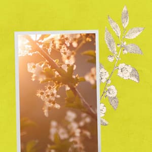 Soulful Guitar Jazz - Background for Digital Dreams - Jazz Music Lounge