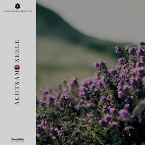 Achtsame Seele - Schlafregengeräusche